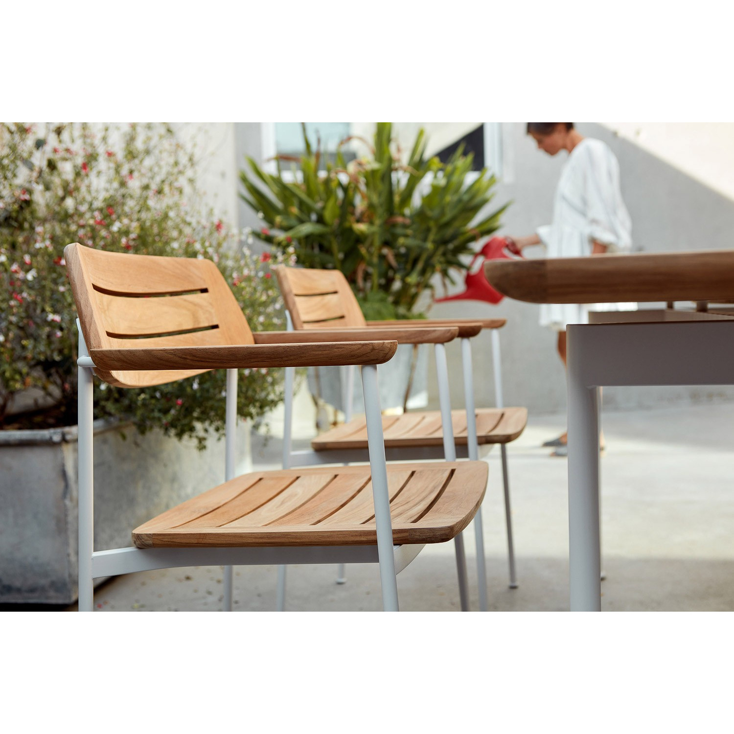 Fauteuil en teck LAYOUT DINING Barlow Tyrie
