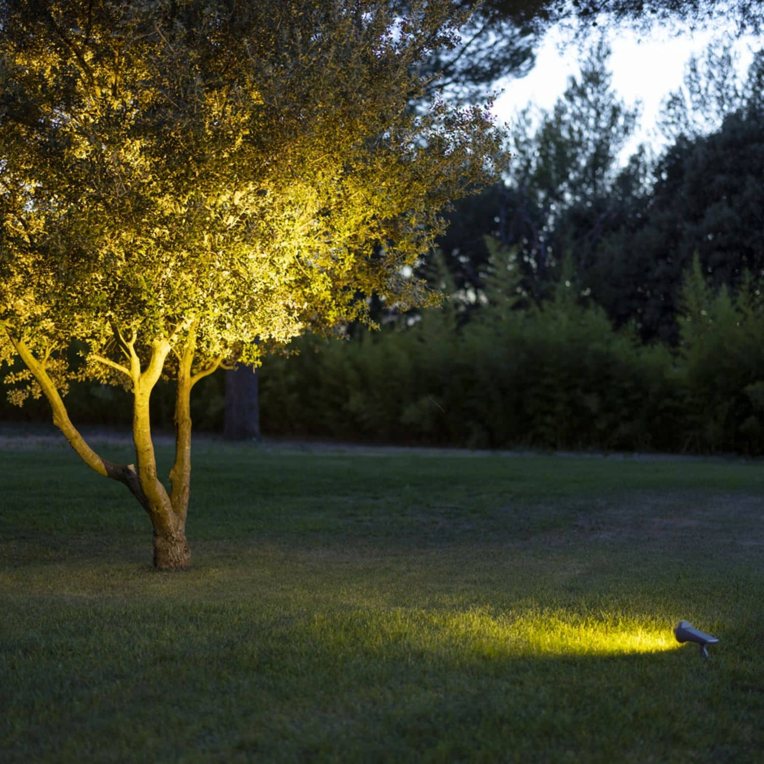 Les Jardins solar spotlight