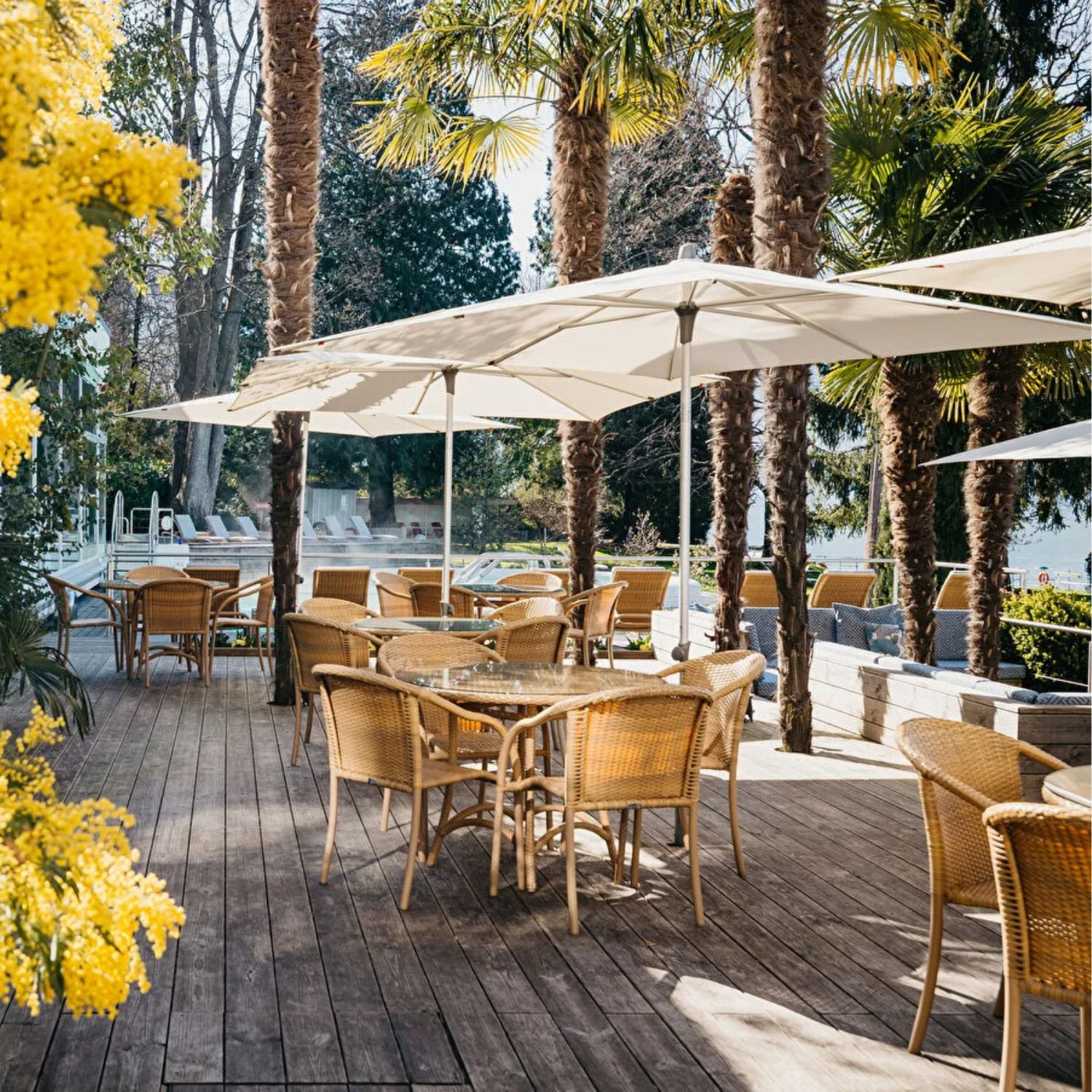 copy of Parasol ALU SMART Glatz