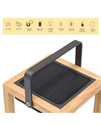 SOLEA GM solar teak lamp Les Jardins du Sud