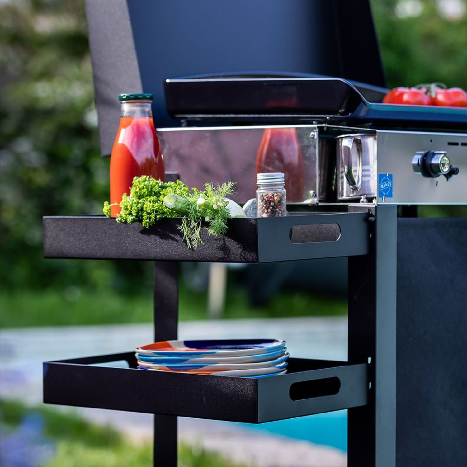 Combo plancha gaz INITIAL 65 inox sur chariot ENO